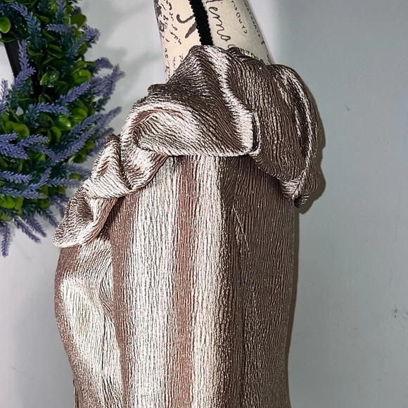 Adriana Papell,6, NWT, champagne sheen puff collar jewel button front 3/4 sleeve - Picture 5 of 10